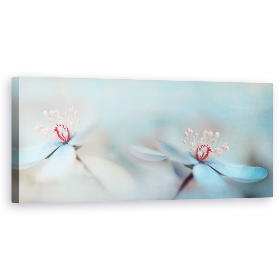 Tablou Canvas - Noi Doi, Panorama, Floare, Macro, Romantic, Cuplu, 50 x 150 cm