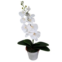 aranjament de flori la ghiveci orhidee atingere reala alba un fir cu 9 capete de floare silicon 15x40 cm imagen 25_0_
0