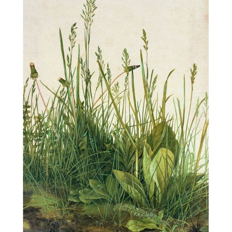 Fototapet peisagistic Wizard Genius 5472-4 dimensiune 192cm (L) x 260cm (I) multicolor