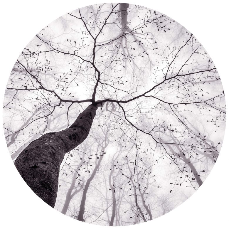 Fototapet peisagistic Wizard Genius NW1517 dimensiune 140cm (L) x 140cm (I) alb cu negru