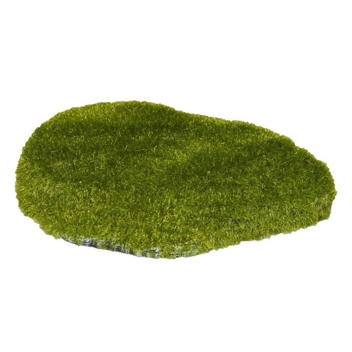 Decor roca acvariu cu moss