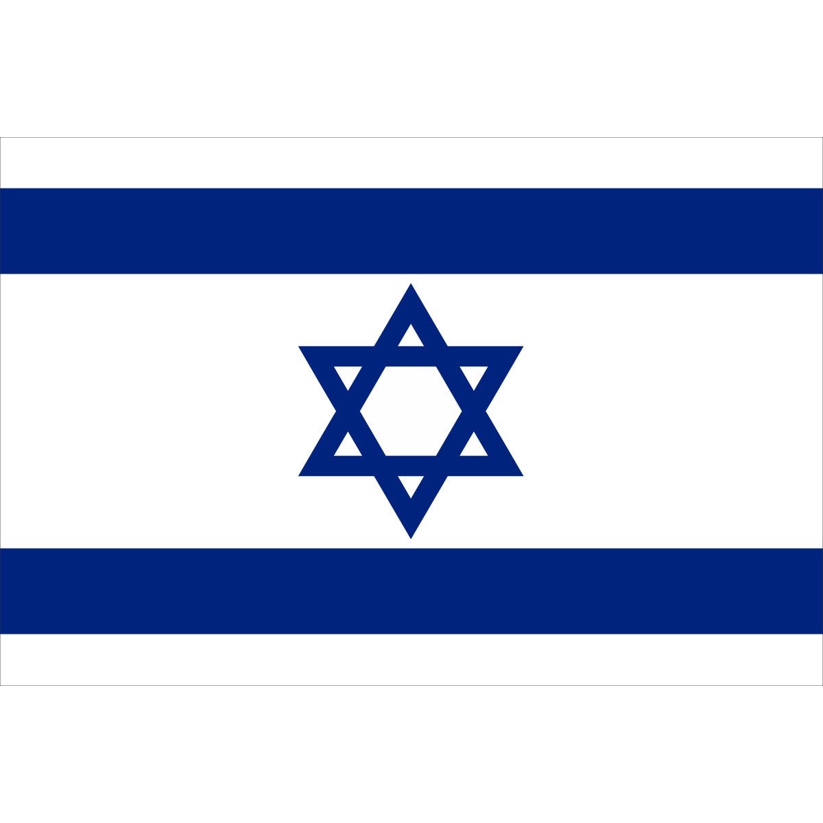 Steag Israel, IMPRIMAT, Metropolis 135x90 cm