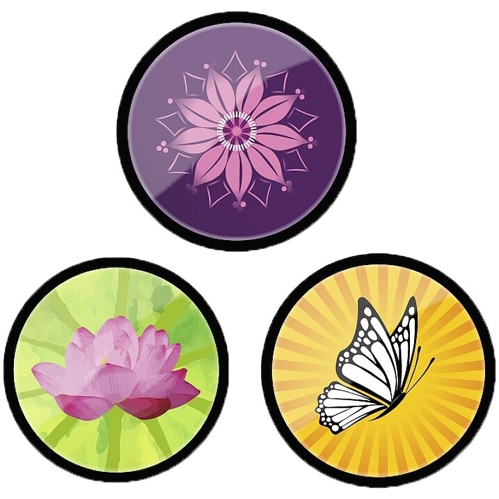 Insigne NIKIDOM Roller ,3buc/set, Spring