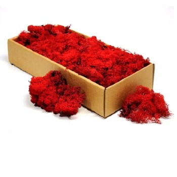 Licheni stabilizati ARTFLORA Red Apple cutie 500g Licheni stabilizati ARTFLORA Red Apple cutie 500g