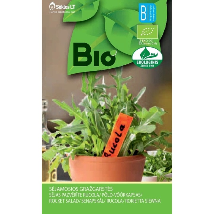 Rucola, Bio, Seminte Organice, plic, 2 grame