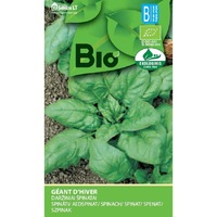 spanac geant dhiver bio seminte organice plic 3 grame imagen 47_0_
0