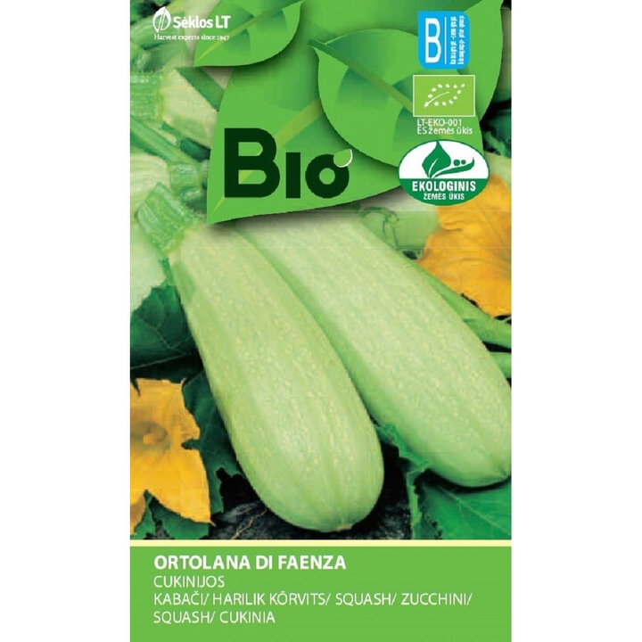 Bio, Cukkini Ortolana Di Faenza vetőmagok, boríték, 1 gramm