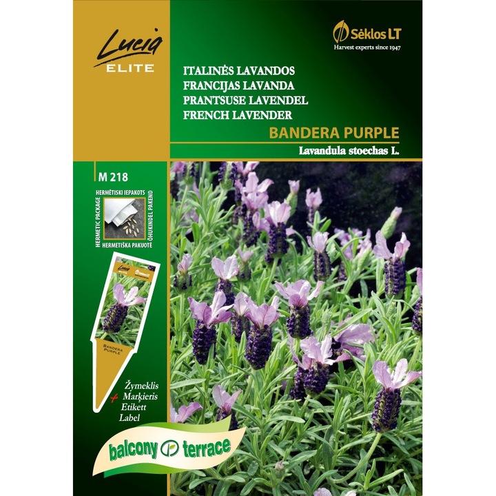 Lavanda frantuzeasca Bandera Purple, Lucia Elite, Seminte, plic, 5 grame
