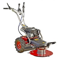 motocositoare cu tambur panter fd-2h rzs 70k motor briggs amp stratton 850 ic gama profesionala latime de lucru 69 cm transmisie hidrostatica imagen 38_0_
0