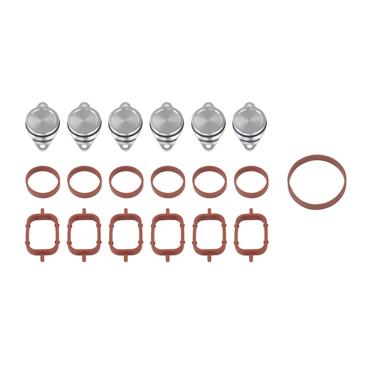 Kit 6 Dopuri Anulare Galerie Admisie BMW 2.0D, 22mm, (M47)