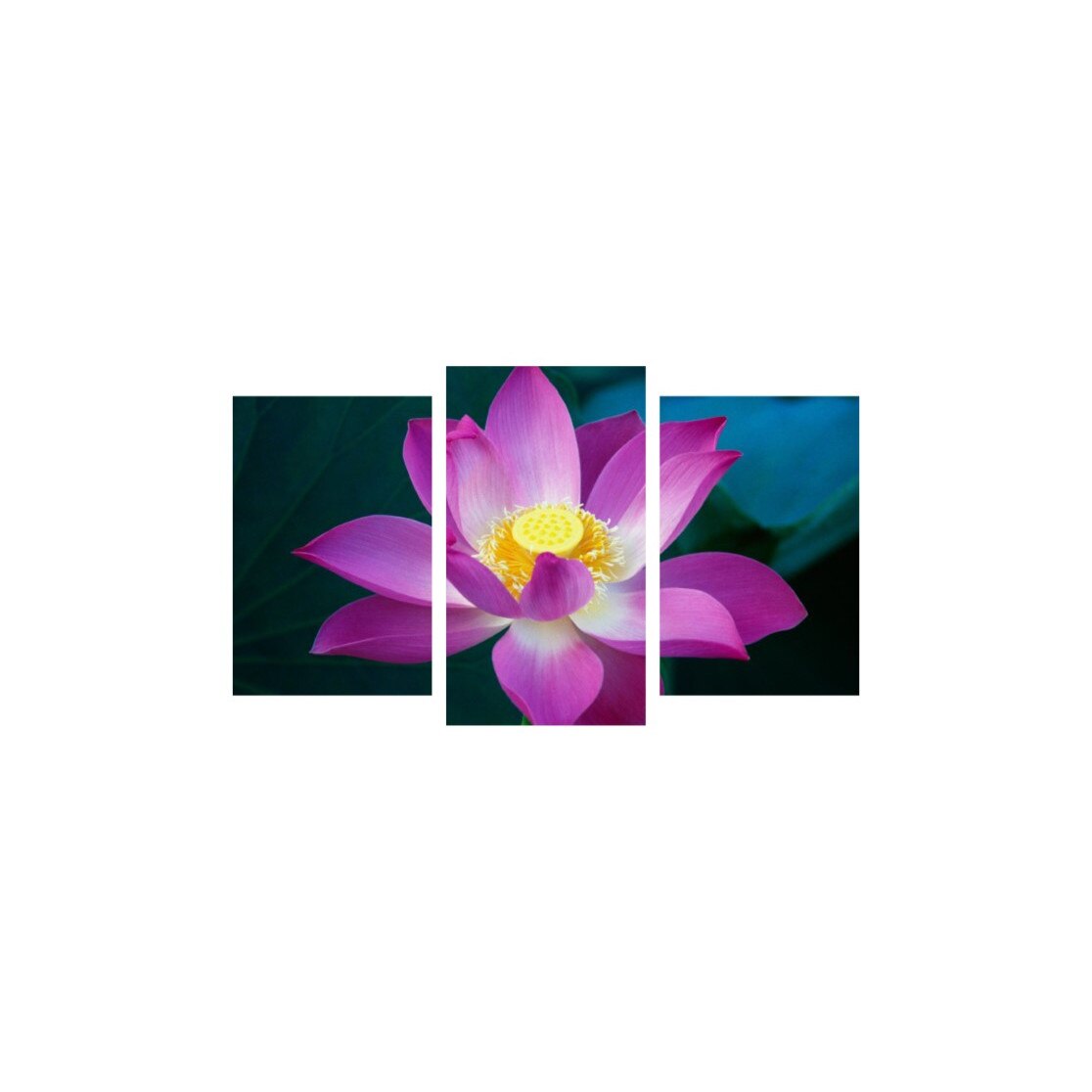 Tablou multicanvas 3 piese 150x90 cm, Flori model 22