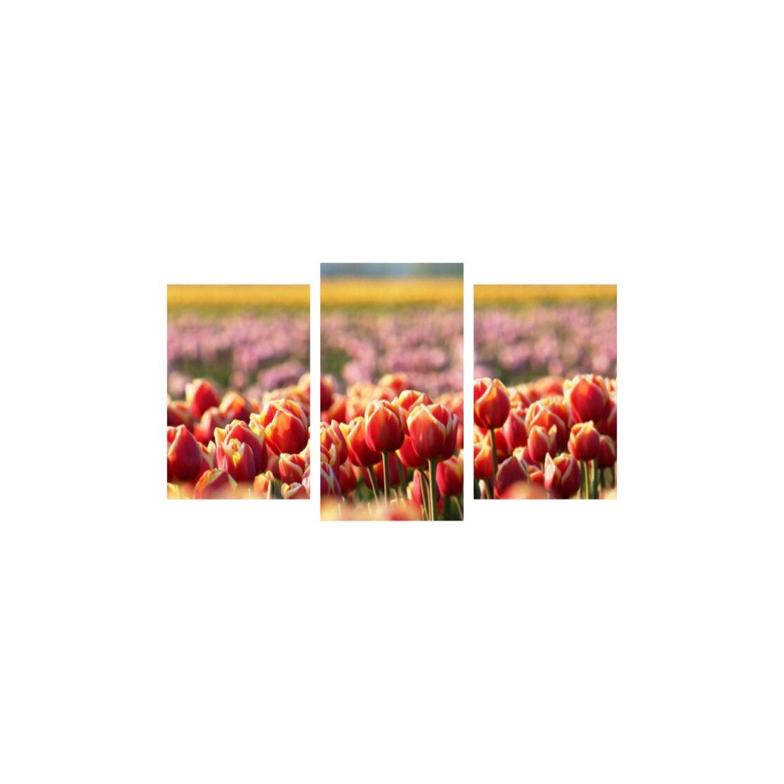 Tablou multicanvas 3 piese 150x90 cm, Flori model 9
