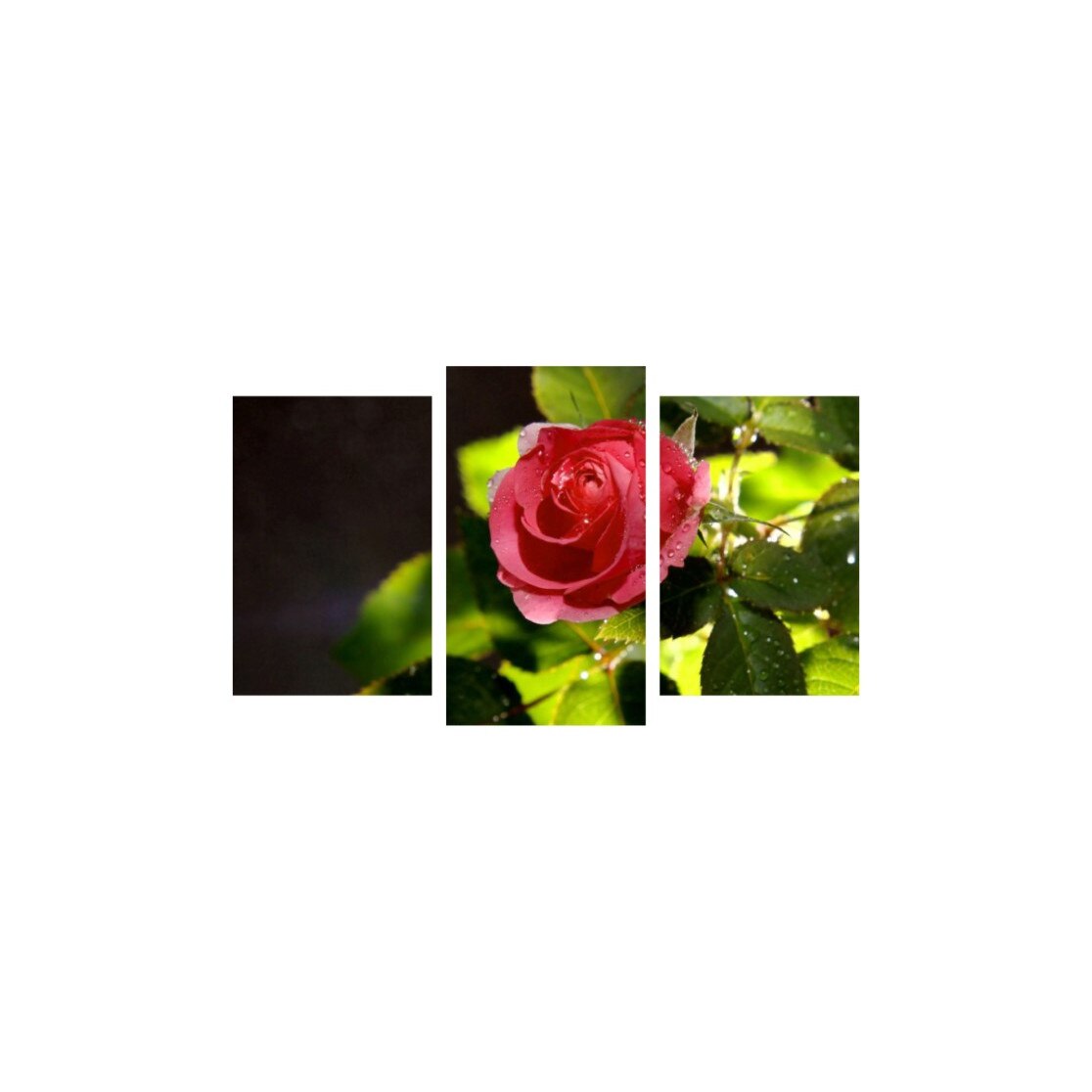 Tablou multicanvas 3 piese 150x90 cm, Flori model 28