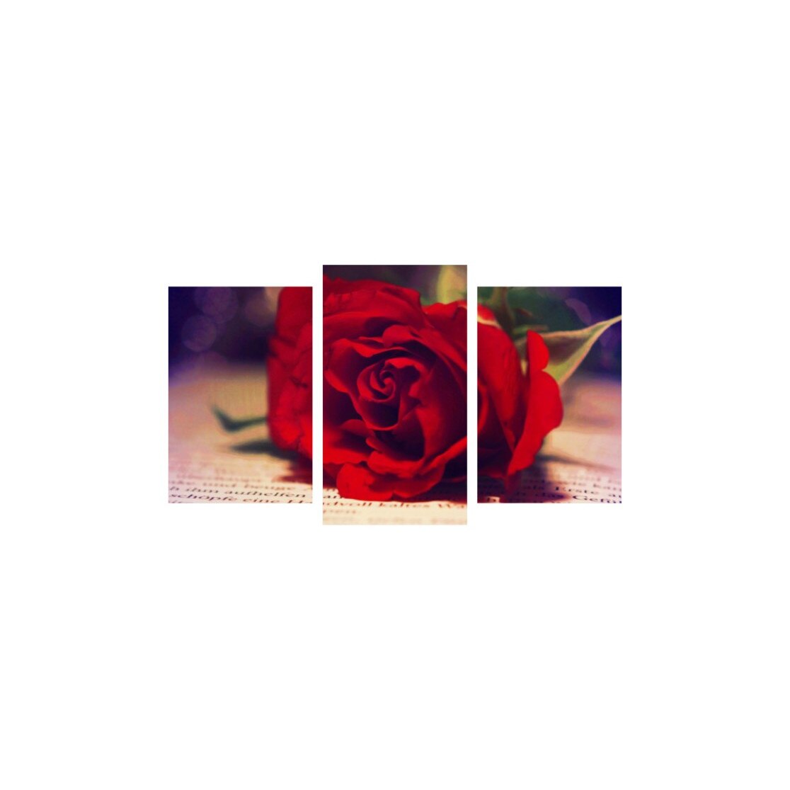 Tablou multicanvas 3 piese 150x90 cm, Flori model 8