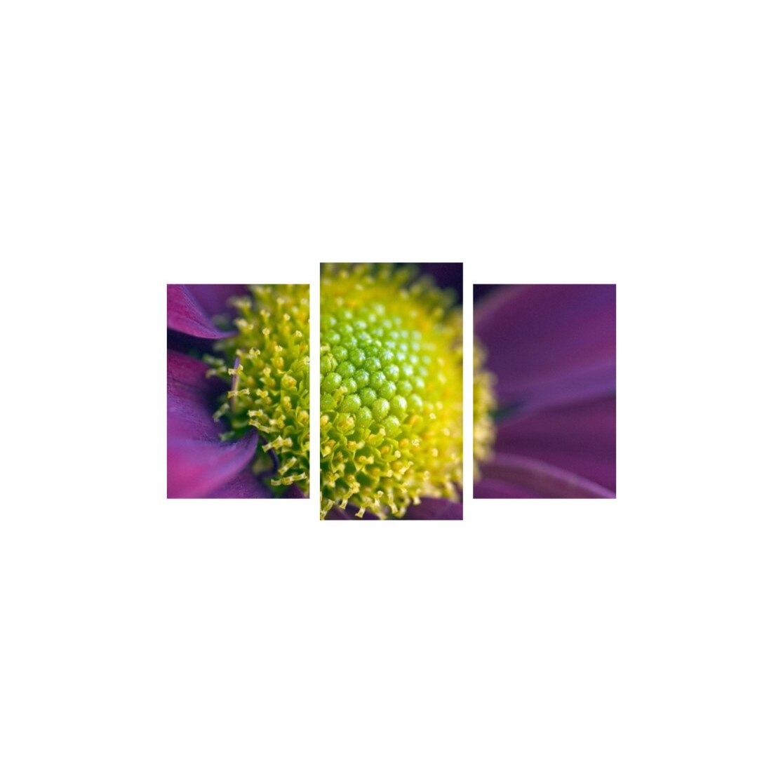 Tablou multicanvas 3 piese 150x90 cm, Flori model 32