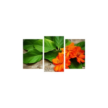 Tablou multicanvas 3 piese 150x90 cm, Flori model 15 Tablou multicanvas 3 piese 150x90 cm, Flori model 15