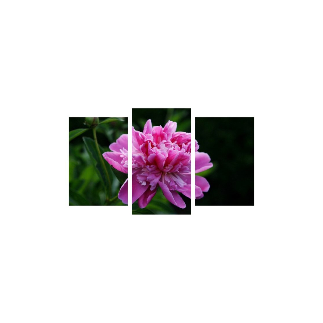 Tablou multicanvas 3 piese 150x90 cm, Flori model 26