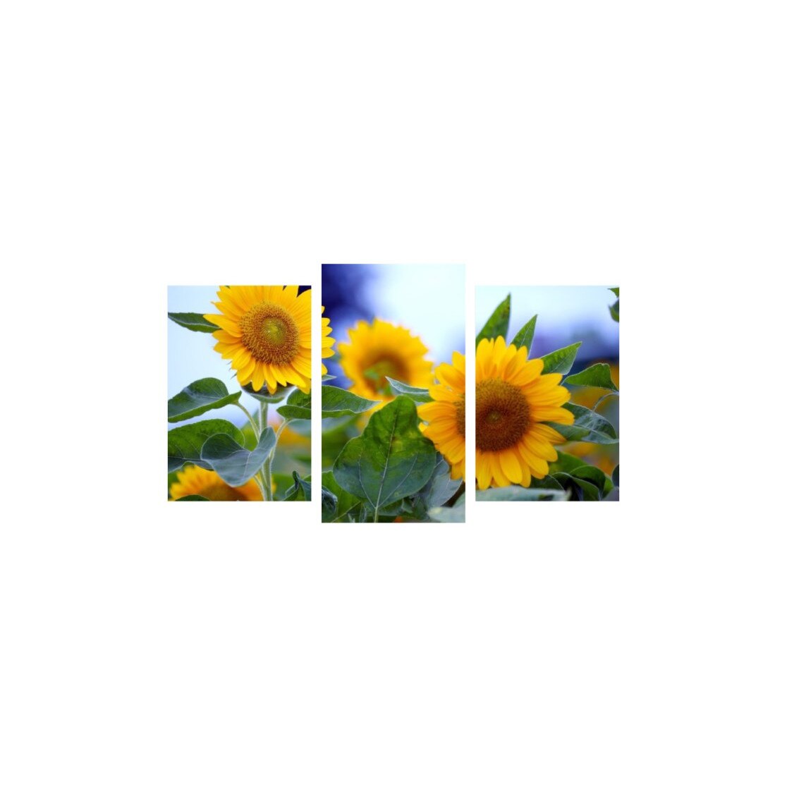 Tablou multicanvas 3 piese 150x90 cm, Flori model 16