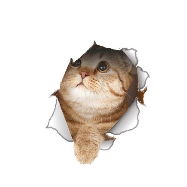 Sticker decorativ Pisica 3D, pentru perete sau alte suprafete, 21x24 cm