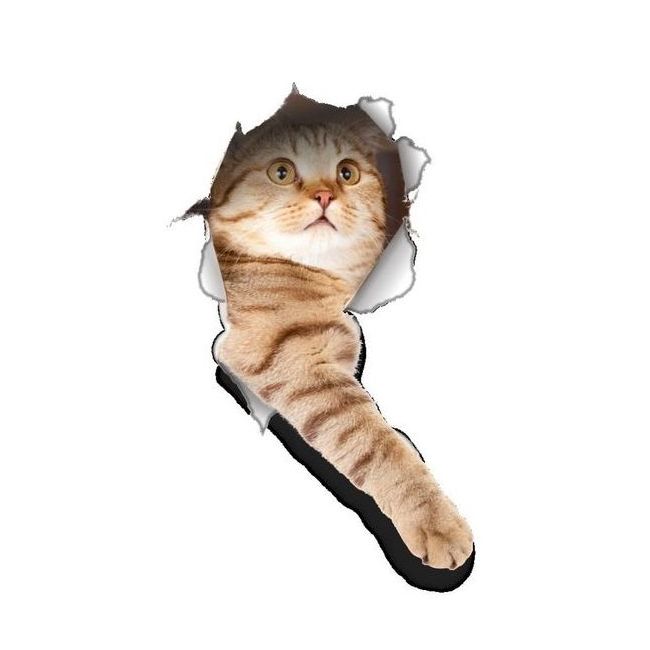 Sticker decorativ Pisica 3D, pentru perete sau alte suprafete, 23x36 cm