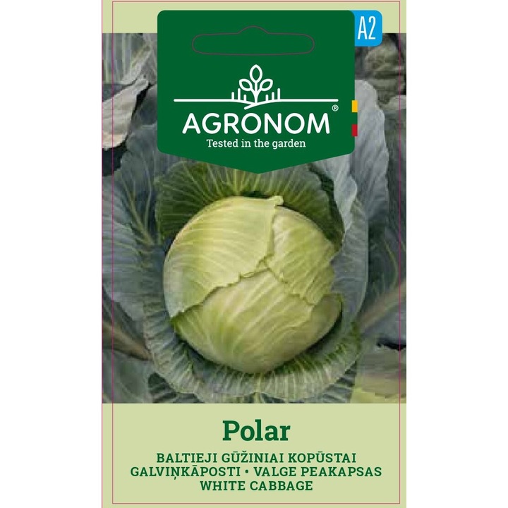 Varza alba Polar, Agronom, Soi de toamna, Seminte, plic, 2 grame