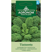 Varza Kale Curly Tintoreto, Agronom, Seminte, Soi Timpuriu, plic, 1 gram