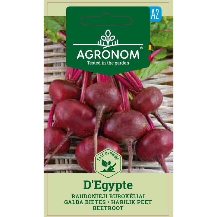 Sfecla Rosie D'Egypte, Agronom, Seminte, Soi Timpuriu, plic, 5 grame