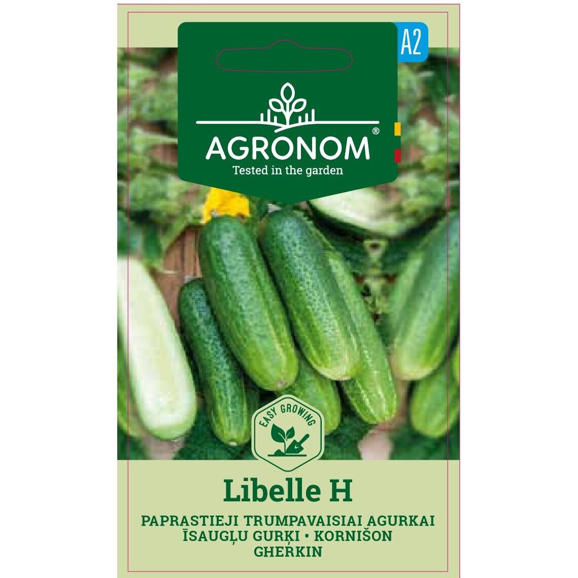 Castraveti Cornichon Libelle H, Agronom, Seminte, Soi Semi Timpuriu