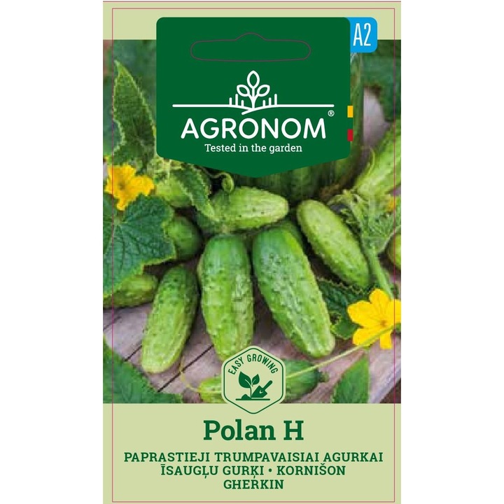 Castraveti Cornichon Polan H, Agronom, Seminte, Soi Semi Timpuriu, plic, 1 gram