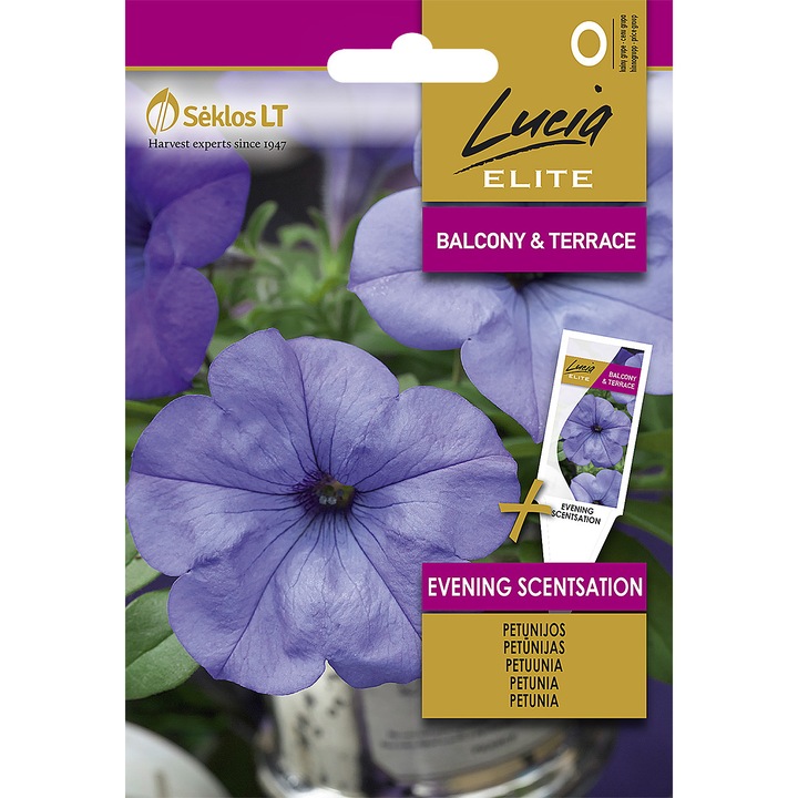 Petunii Evening Scentsation, Lucia Elite, Seminte, plic, 6 seminte