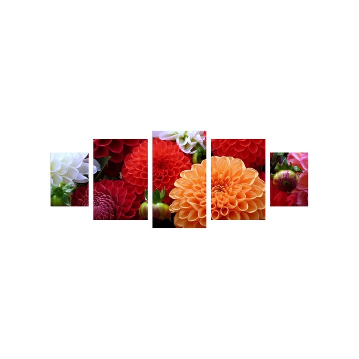 Tablou multicanvas 5 piese 220x90 cm, Flori model 14