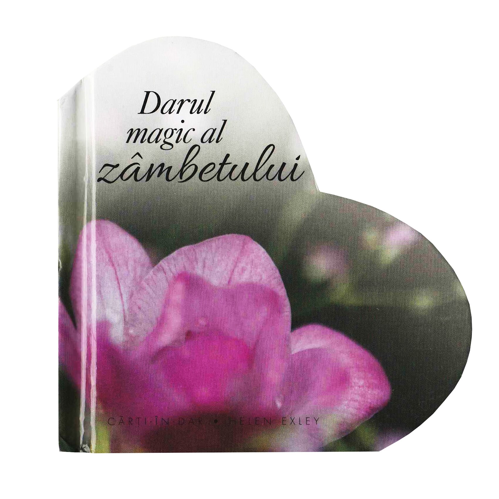 Darul magic al zambetului