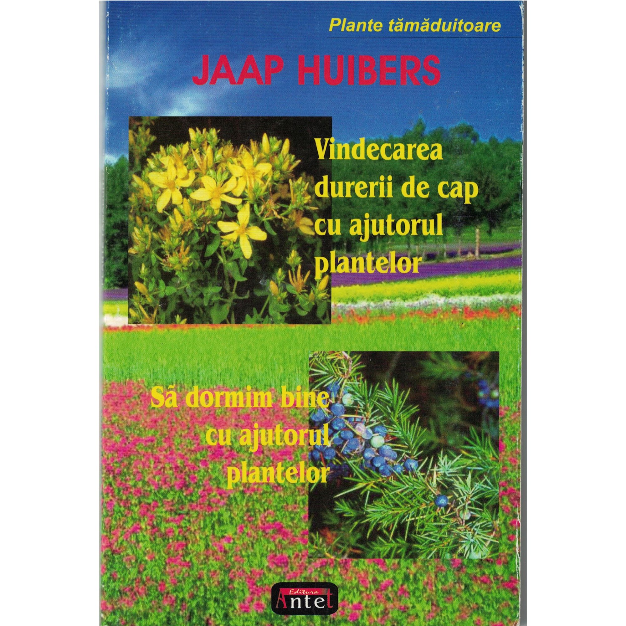 Vindecarea durerii de cap cu ajutorul plantelor - Jaap Huibers