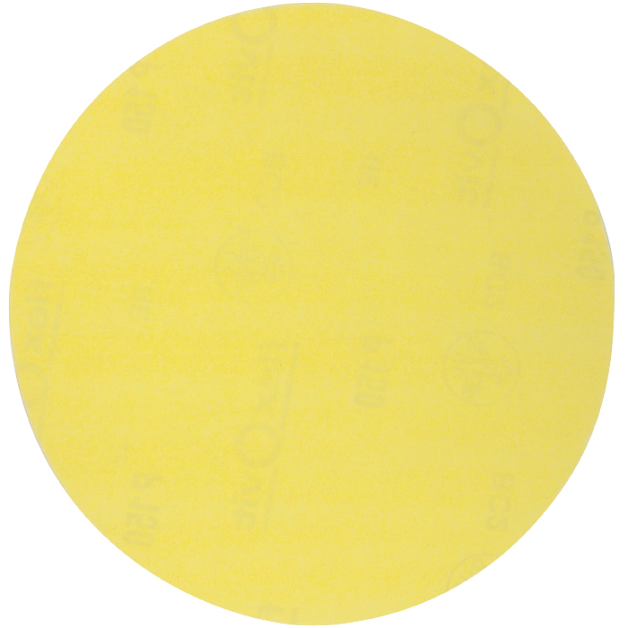 Disc Abraziv Prindere Arici fara Gauri F EvoTools, Diametru 210 mm, Granulatia 60