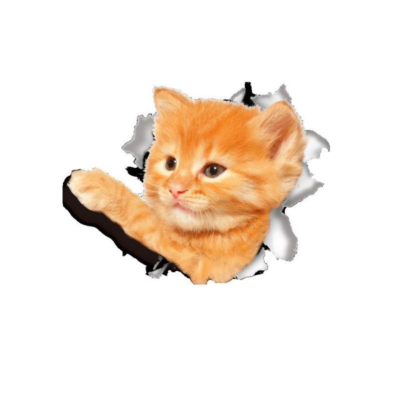 Sticker autocolant Pisica 3D, pentru perete sau alte suprafete, 16x21 cm