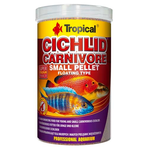 carnivorous tropical fish