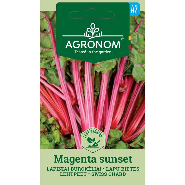 Sfecla de frunze Magenta Sunset, Agronom, Seminte, plic, 2 grame