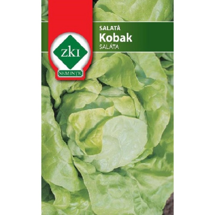 Seminte de salata creata ZKI Kobac, 3 gr