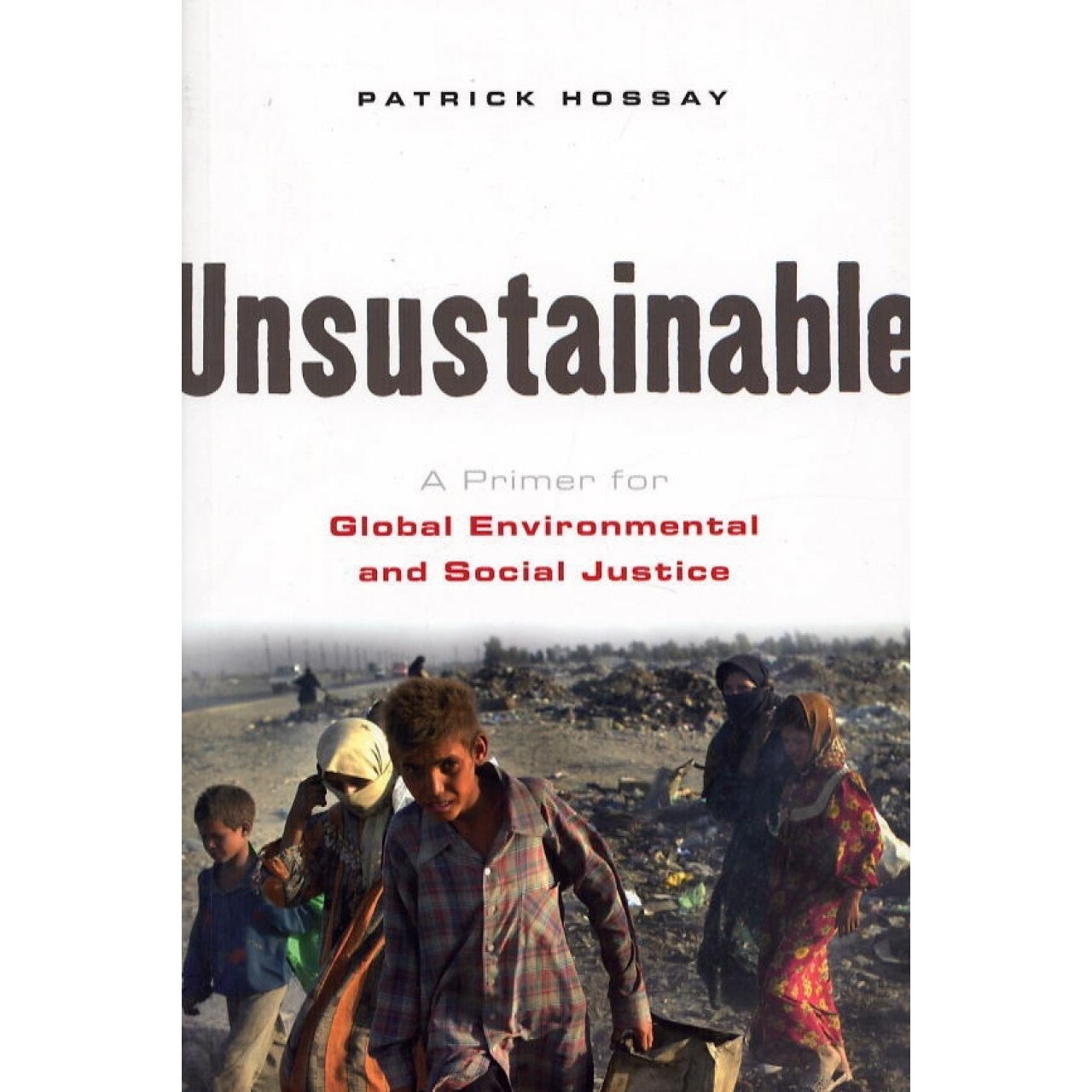 Unsustainable, Patrick Hossay