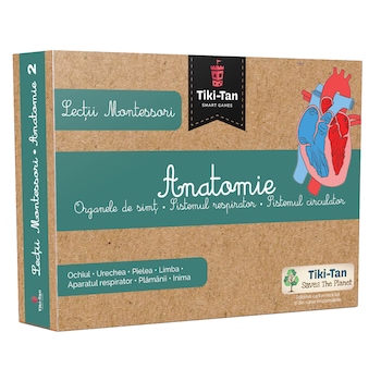 Lectii de anatomie:Organe de simt.Sistemul respirator.Sistemul circulator. Lectii Montessori!2020 Lectii de anatomie:Organe de simt.Sistemul respirator.Sistemul circulator. Lectii Montessori!2020