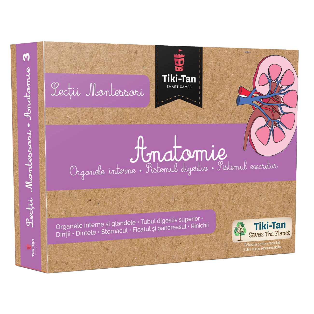 Lectii de anatomie:Organe interne.Sitemul digestiv. Lectii Montessori!2020