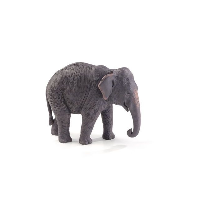 Figurina Elefant Asiatic
