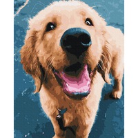 Set picturi pe numere, Acuarello, Happy Dog, 40x50cm, culori acrilice, pensule, panza incadrata pe o rama de lemn