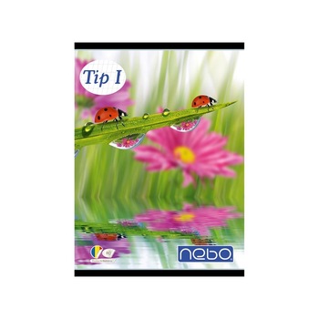 Caiet pentru scoala, BNW, A5 tip I 24 file cu flori roz Caiet pentru scoala, BNW, A5 tip I 24 file cu flori roz