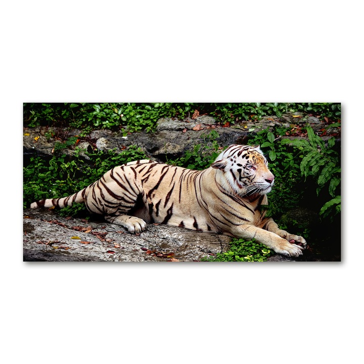 Pictura acrilica. 100x50cm. grafica pe perete. decoratiuni de perete "Tigru pe stanca”