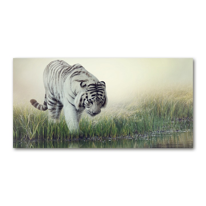 Üvegkép, 140x70 cm, Nyomtatott fali dekoráció, "Fehér tigris", tw2-osh2s-140x70-f-84071201
