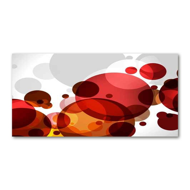 Pictura acrilica. 100x50cm. grafica pe perete. decoratiuni de perete "Abstractia rotilor”