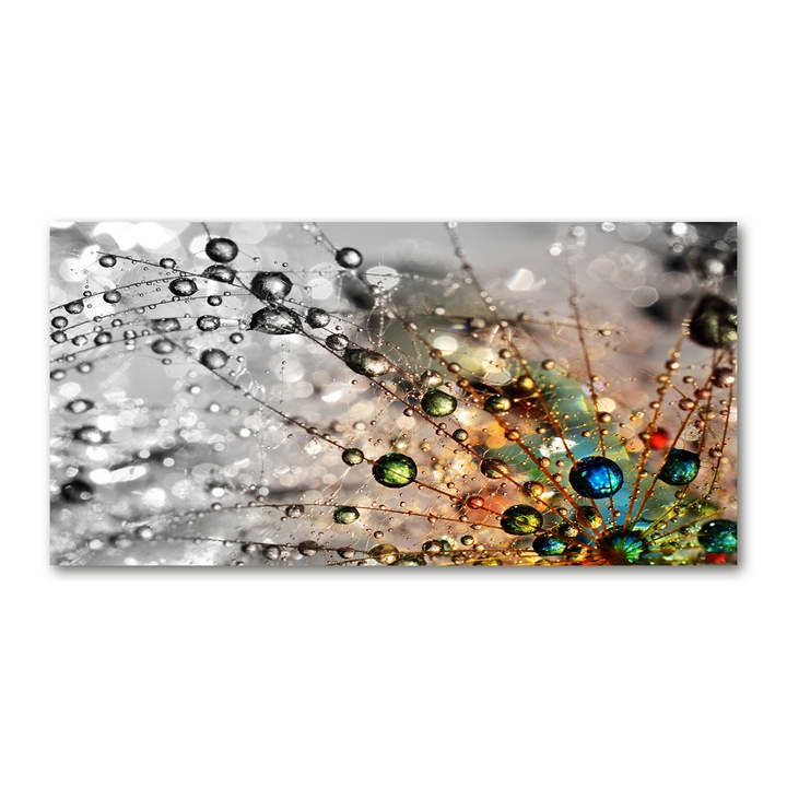 Tablou pe sticla. 100x50cm. Imagine imprimata sticla. Decorarea peretilor "Seminte de papadie”