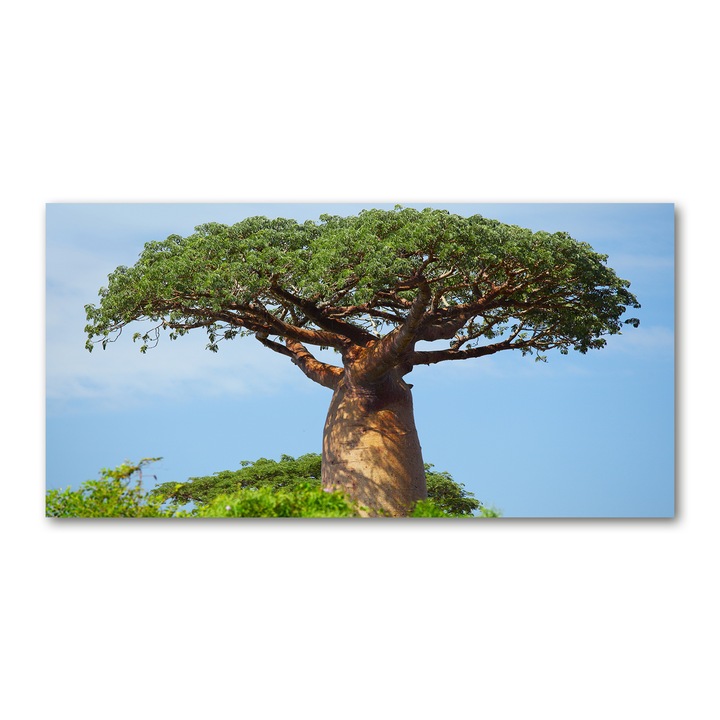 Pictura pe panza. 140 x 70cm. Decorarea peretilor "Baobab”