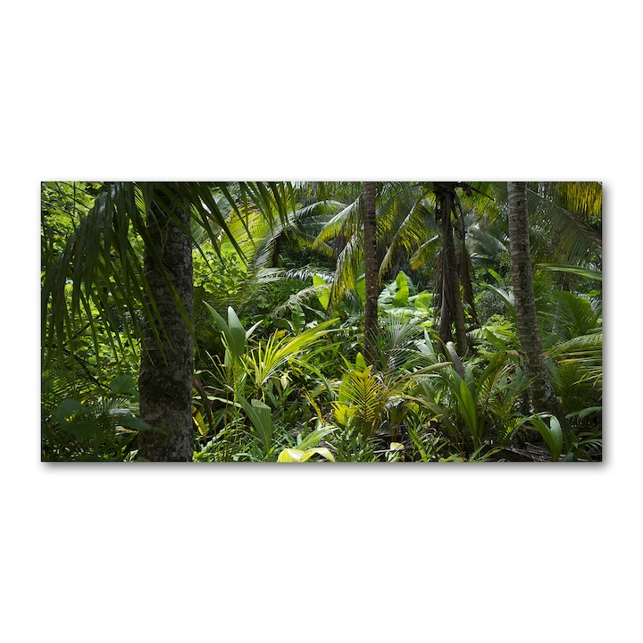 Panou de bucatarie, din sticla, 100 cm x 50 cm - Padure tropicala